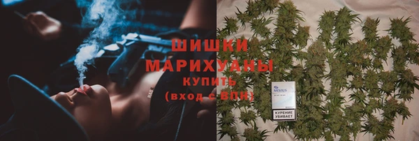 прущие грибы Магас
