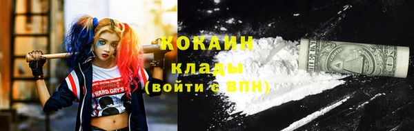 прущие грибы Магас
