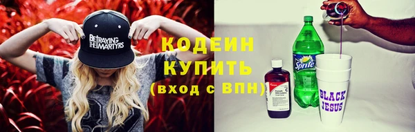 прущие грибы Магас