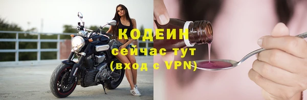прущие грибы Магас