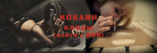 ПСИЛОЦИБИНОВЫЕ ГРИБЫ Белая Холуница
