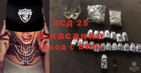 прущие грибы Магас