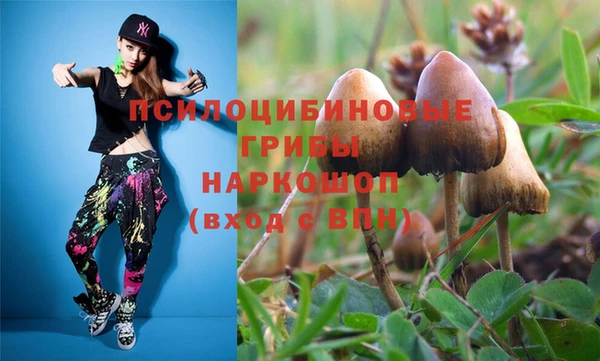 МДПВ Магадан