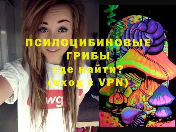 прущие грибы Магас