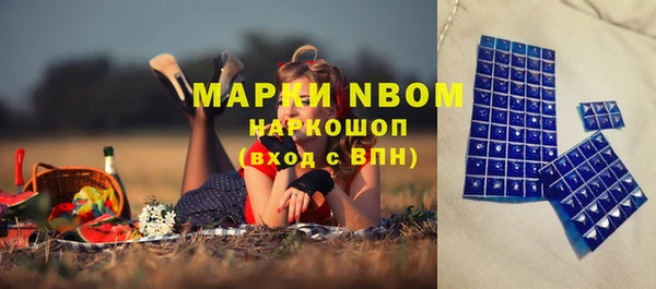 прущие грибы Магас