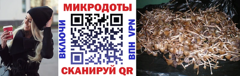 хочу наркоту  Таштагол  Псилоцибиновые грибы ЛСД 